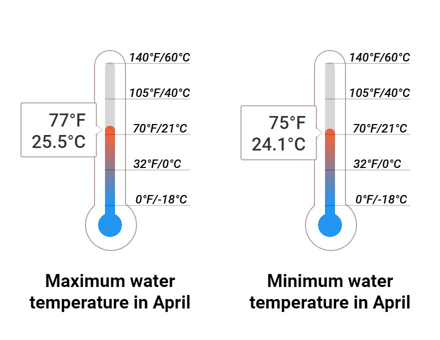 Average Sea temperature